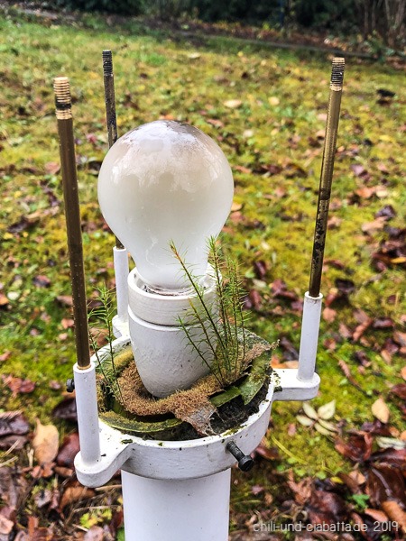 Biotop an einer Gartenlampe