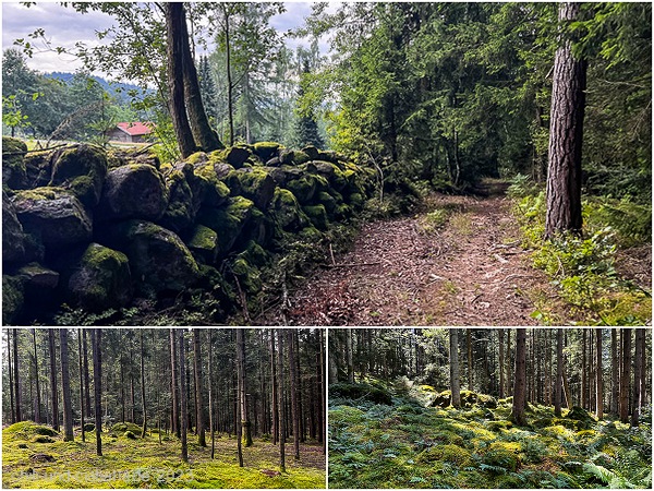Wald-Collage