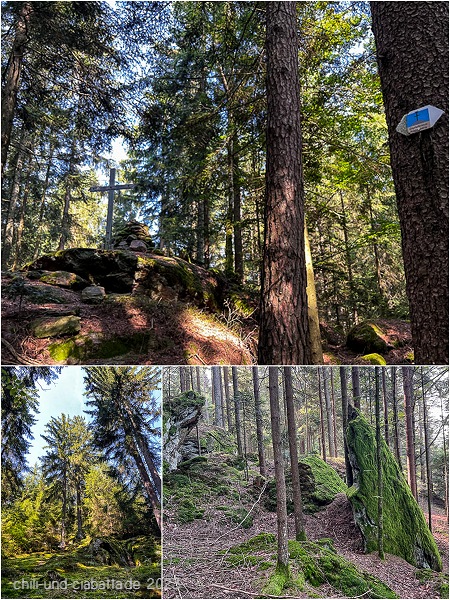 Collage Wald